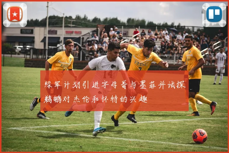 绿军计划引进字母哥与墨菲并试探鹈鹕对杰伦和怀特的兴趣