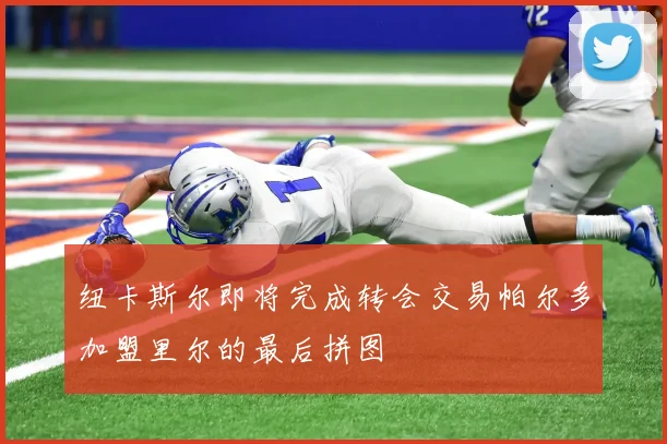 纽卡斯尔即将完成转会交易帕尔多加盟里尔的最后拼图